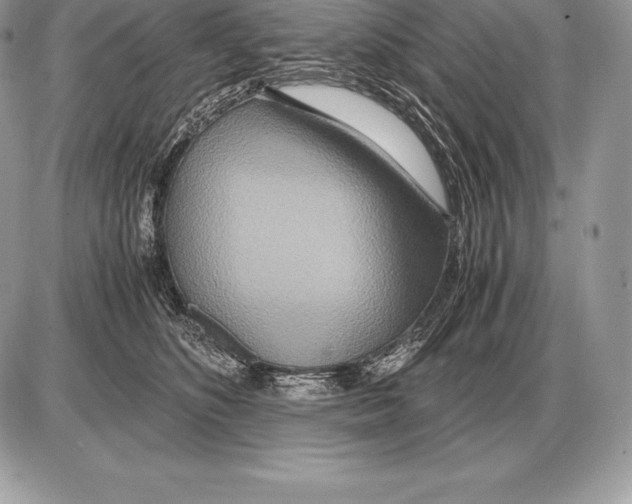 X0000085790516200704131858