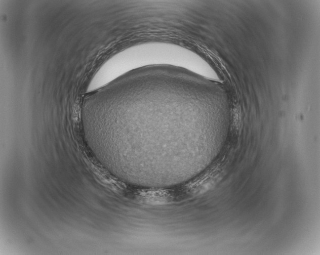 X0000085790517200704131858