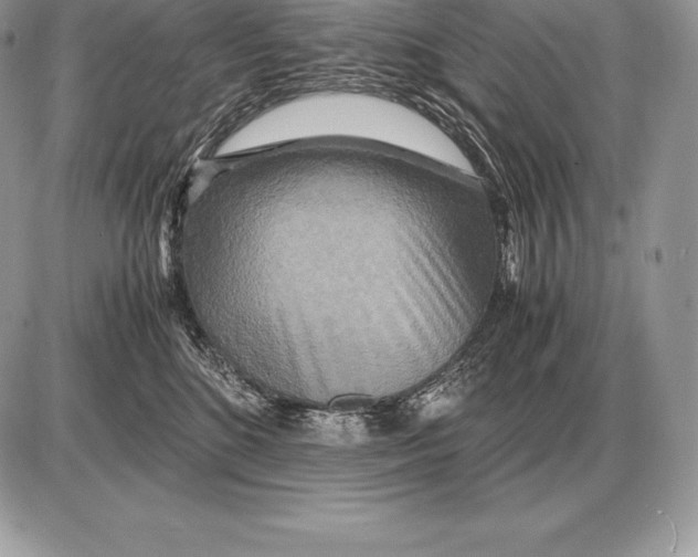 X0000085790520200704131858