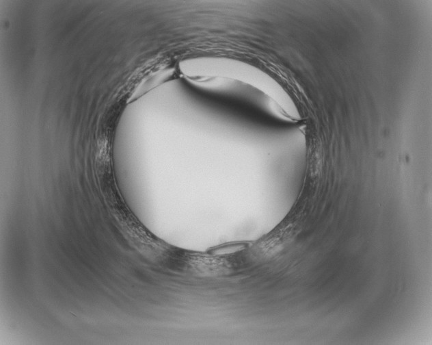 X0000085790521200704131858