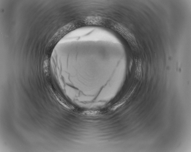 X0000085790526200704131858