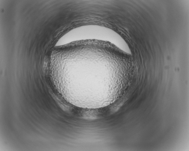 X0000085790527200704131858
