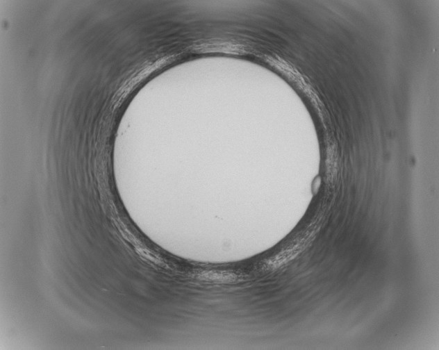X0000085790529200704131857