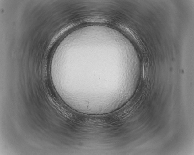 X0000085790531200704131857