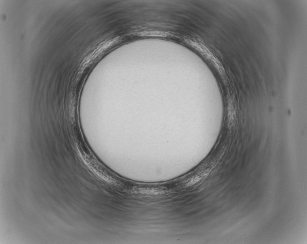 X0000085790533200704131857