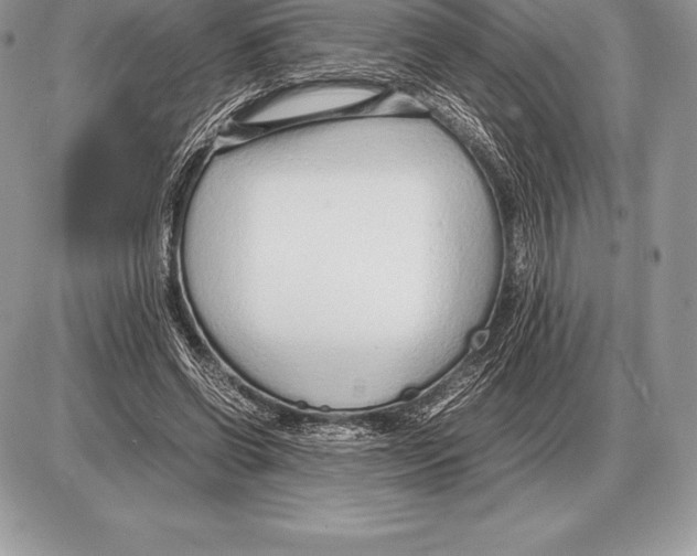 X0000085790542200704131857
