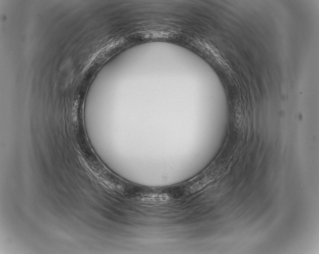 X0000085790543200704131857