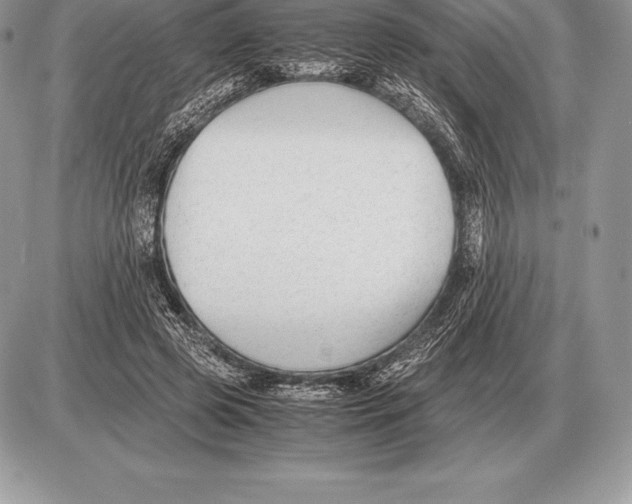 X0000085790545200704131857