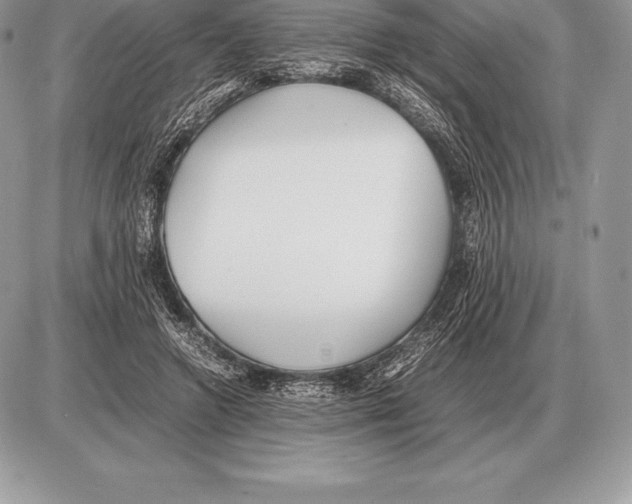 X0000085790546200704131857