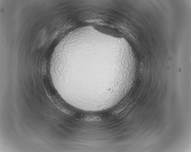 X0000085790547200704131857