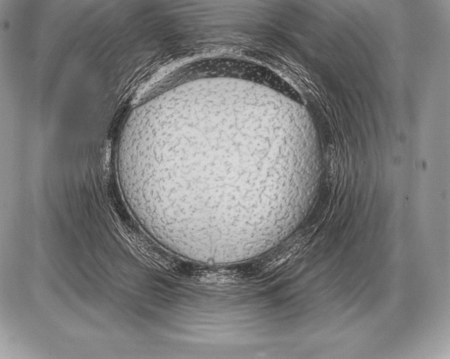 X0000085790550200704131857