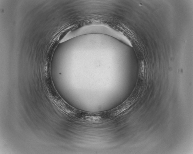 X0000085790552200704131857