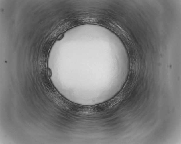 X0000085790553200704131857