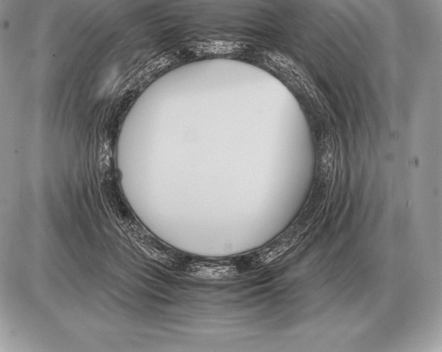 X0000085790555200704131857