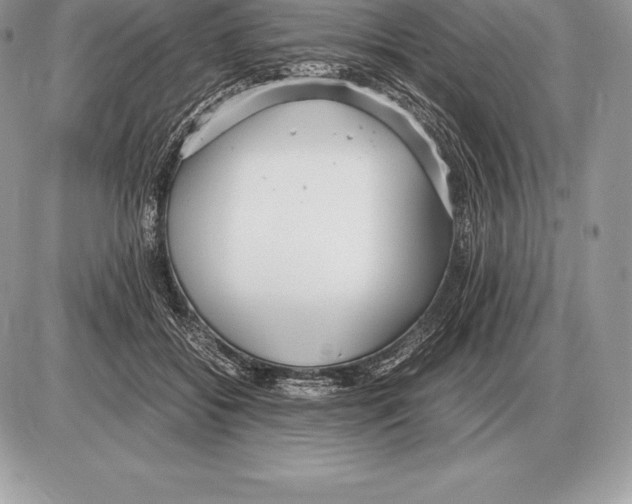 X0000085790556200704131857