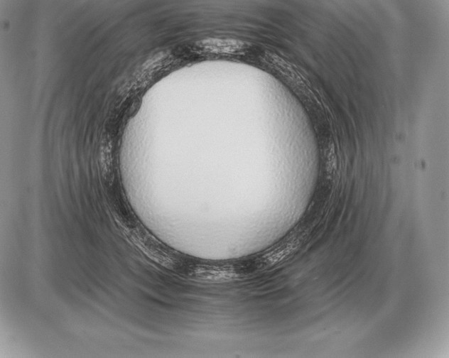 X0000085790559200704131857