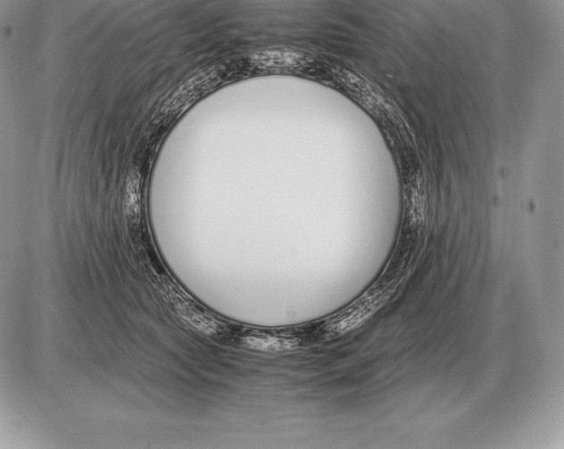 X0000085790561200704131857