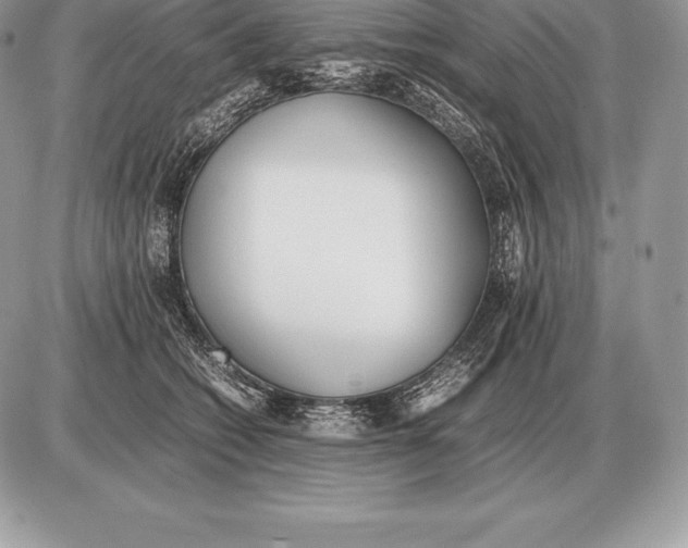 X0000085790562200704131857