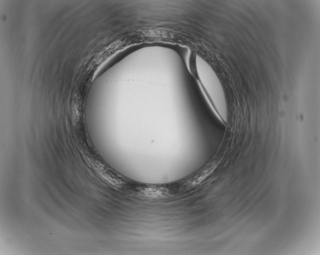 X0000085790566200704131857