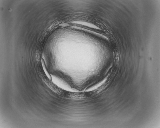 X0000085790568200704131857