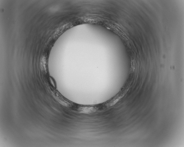 X0000085790575200704131858