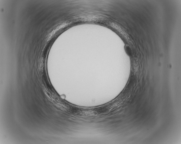 X0000085790583200704131857
