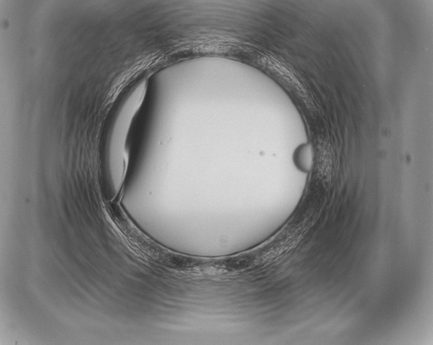 X0000085790586200704131857