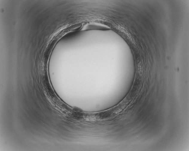 X0000085790587200704131857