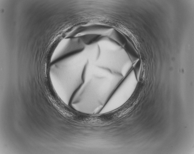 X0000085790589200704131857