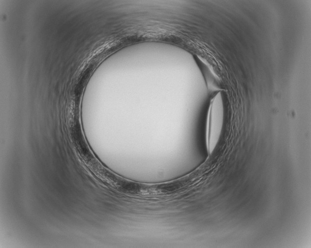 X0000085790591200704131857
