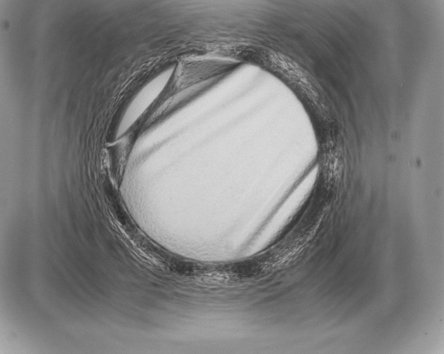 X0000085790593200704131856