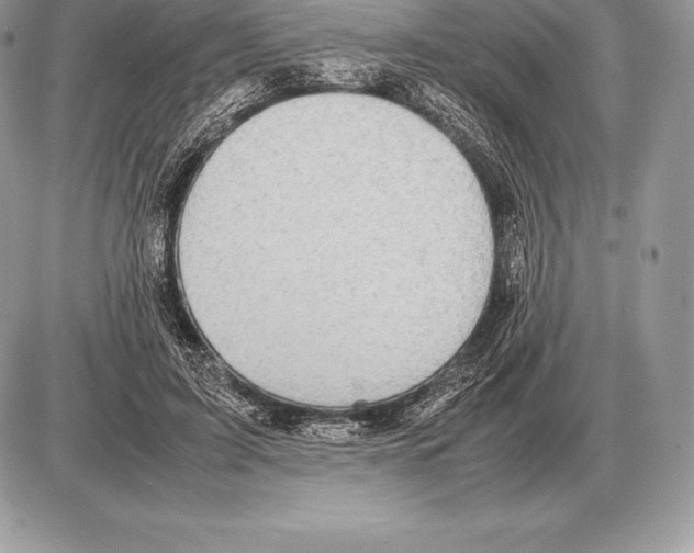 X0000085790595200704131856