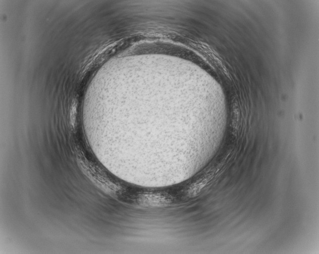 X0000085790596200704131856