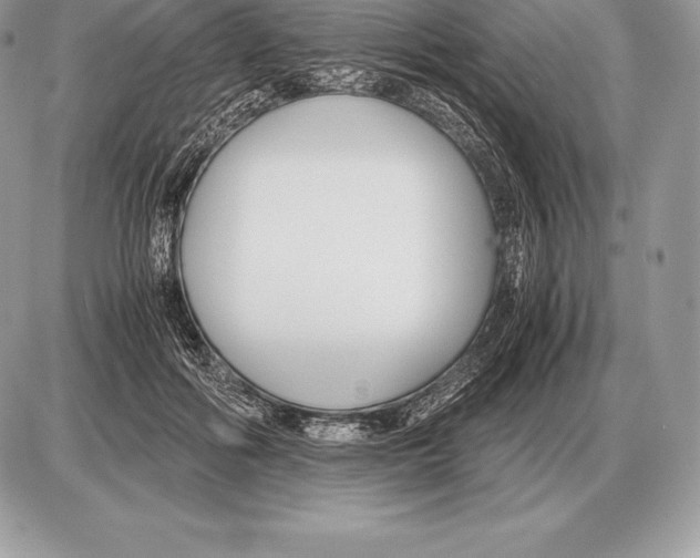 X0000085790602200704131856