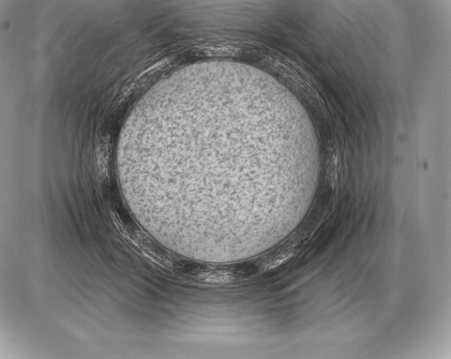 X0000085790604200704131856