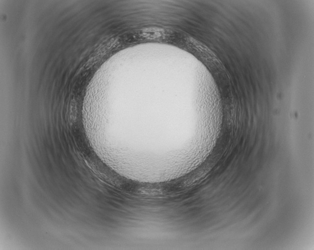 X0000085790606200704131856