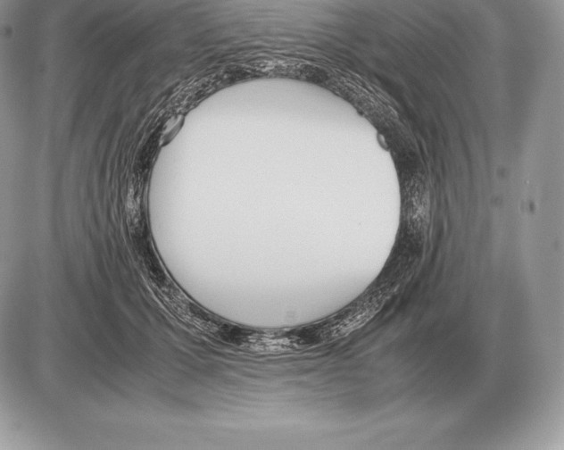 X0000085790607200704131856
