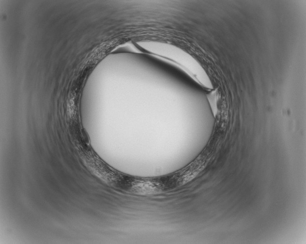 X0000085790611200704131856