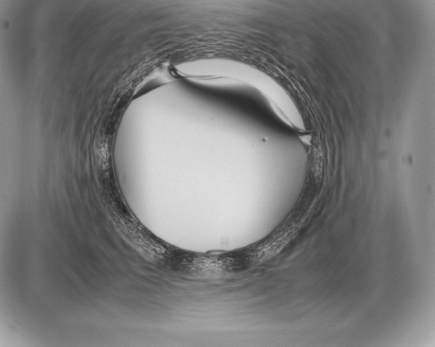 X0000085790613200704131856