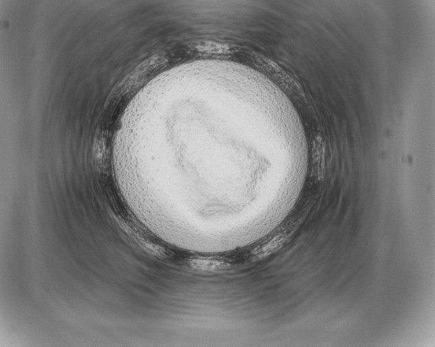 X0000085790614200704131856