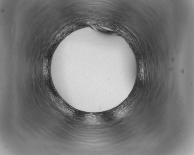 X0000085790616200704131856