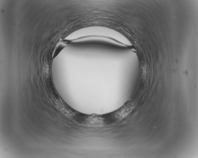 X0000085790617200704131856