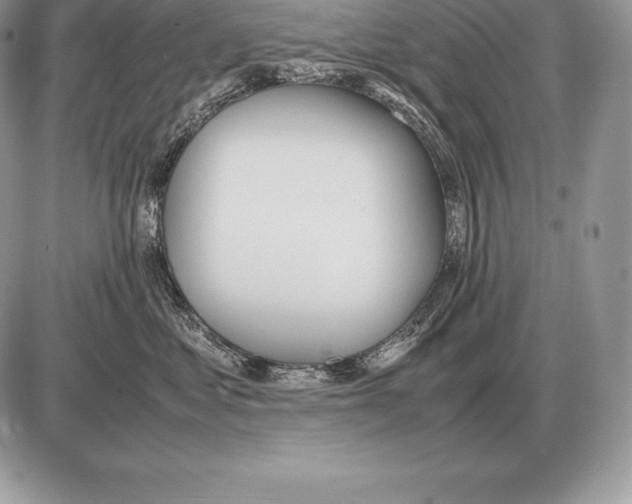 X0000085790621200704131856