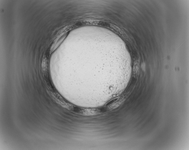 X0000085790623200704131856