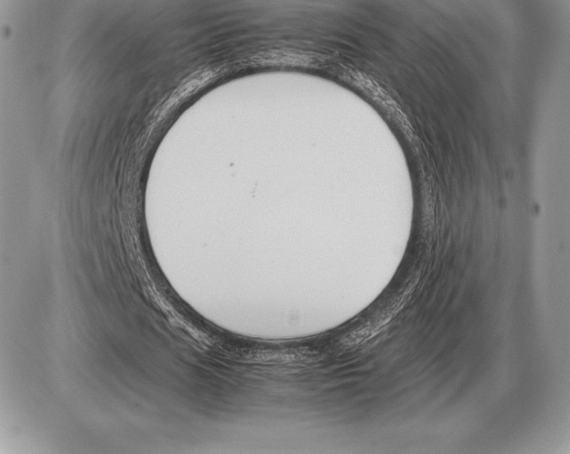 X0000085790625200704131855