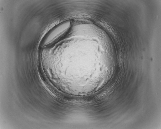 X0000085790630200704131855