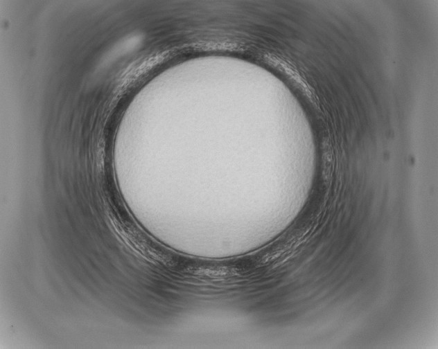 X0000085790631200704131855