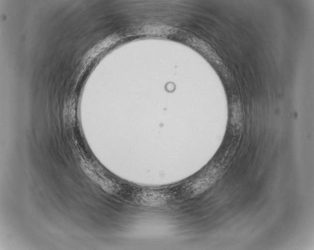 X0000085790632200704131855