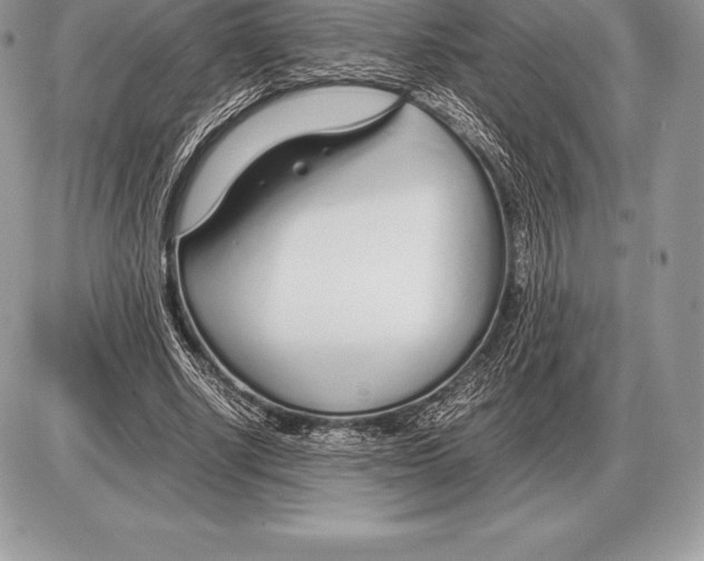 X0000085790634200704131855