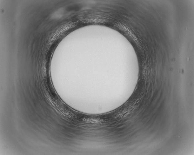 X0000085790635200704131855